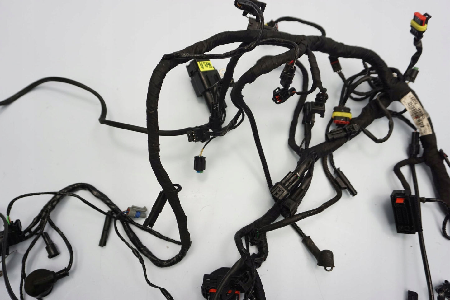 BMW G 310 GS 17- Kabelbaum Wiring Harness 9