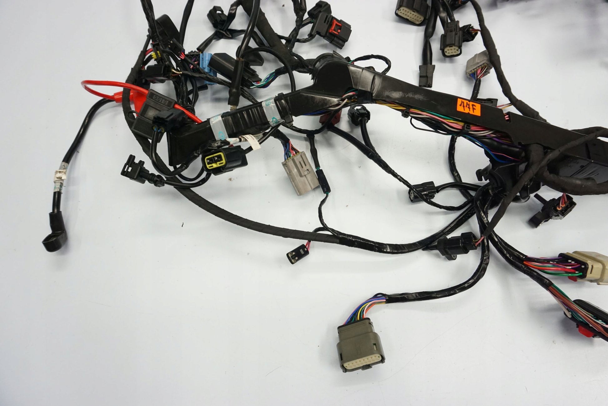 TRIUMPH TIGER 1200 RALLY EXPLORER 22- Kabelbaum Wiring Harness 10