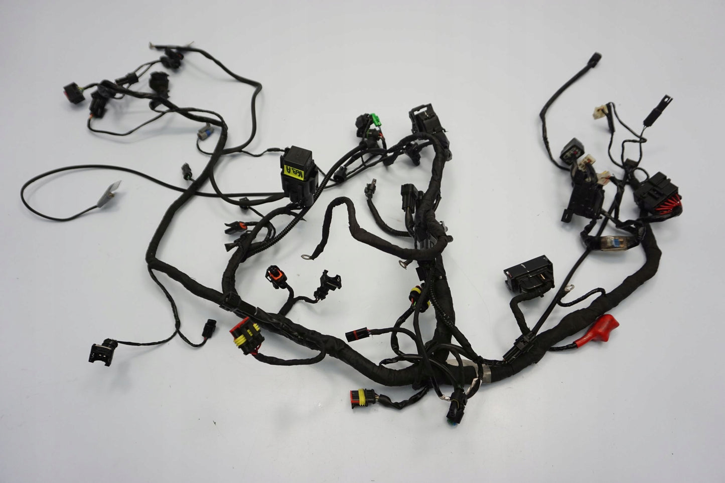 BMW G 310 GS 17- Kabelbaum Wiring Harness 5