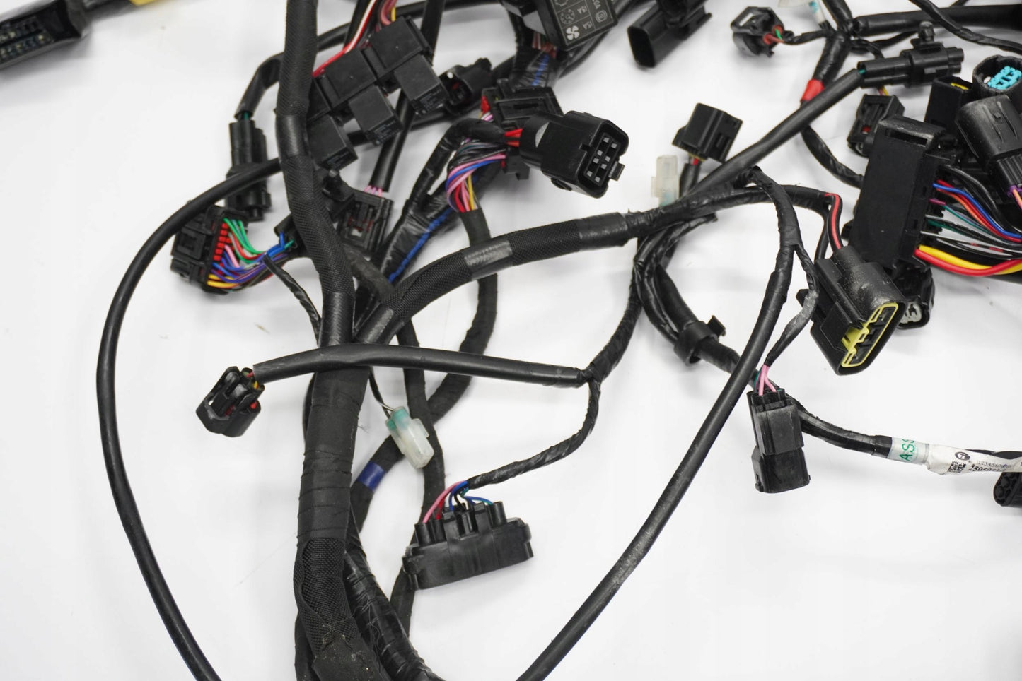 TRIUMPH TRIDENT 660 21- Kabelbaum Wiring Harness 6