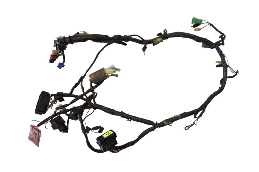 HONDA FMX 650 05-07 Kabelbaum Wiring Harness 1