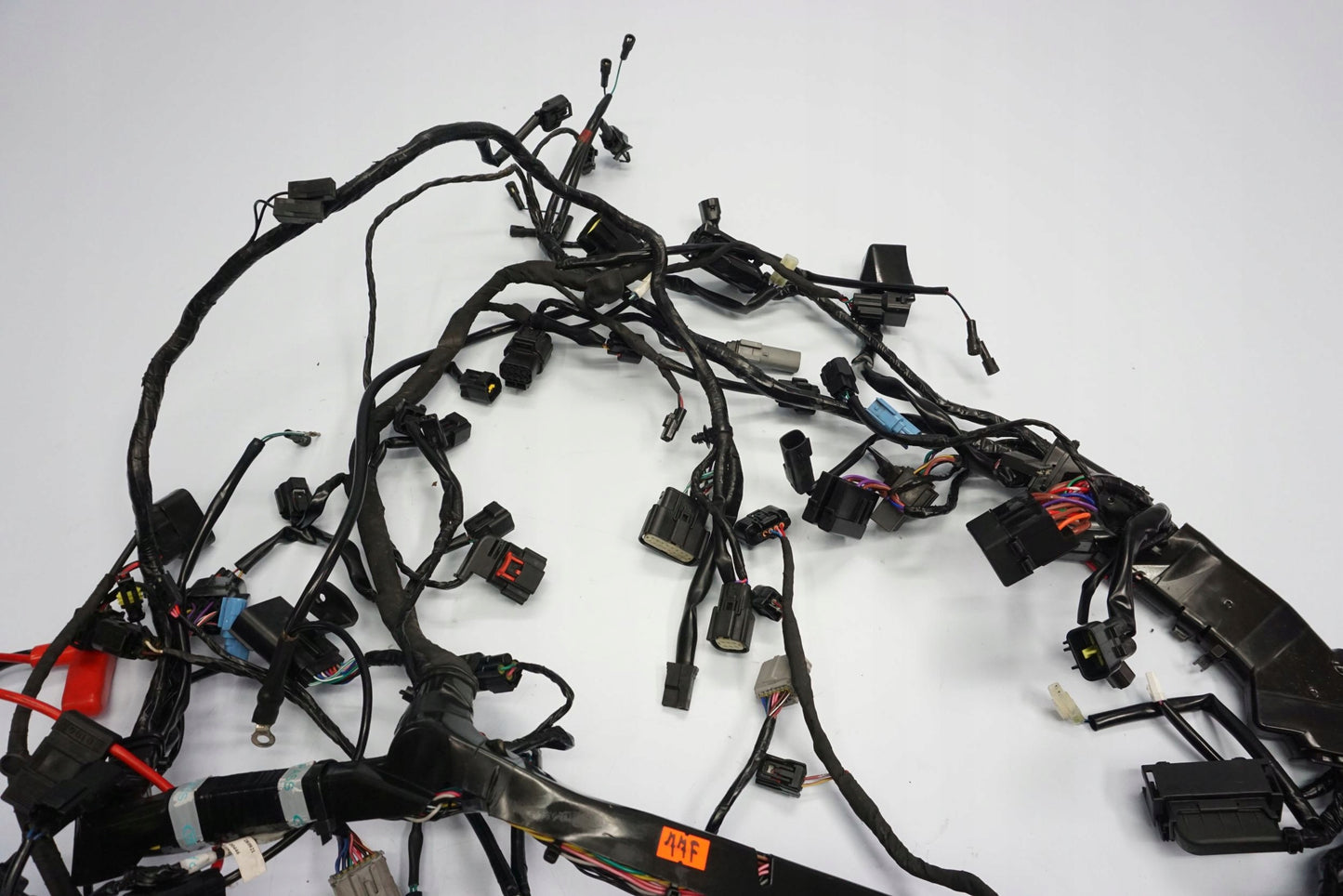TRIUMPH TIGER 1200 RALLY EXPLORER 22- Kabelbaum Wiring Harness 9