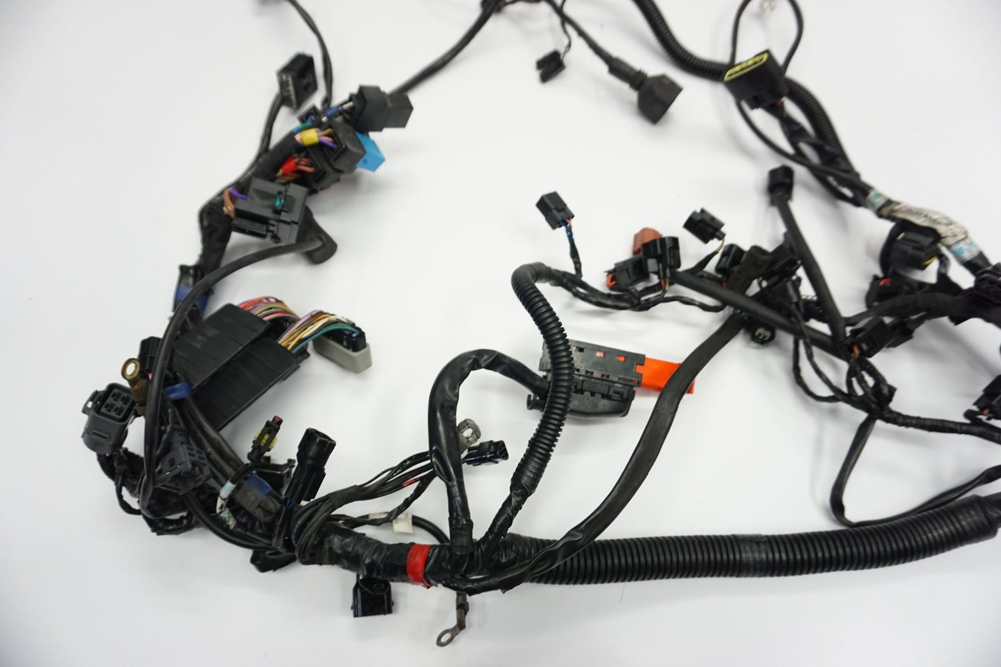 TRIUMPH TIGER 800 XC 10-14 Kabelbaum Wiring Harness 5