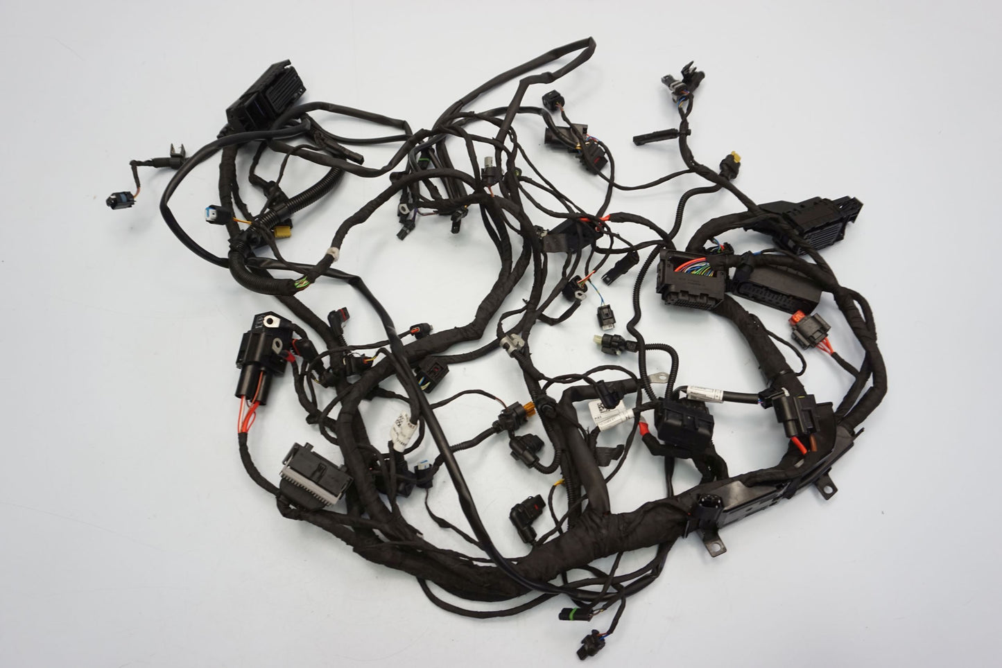 BMW F 900 R 20- Kabelbaum Wiring Harness 4