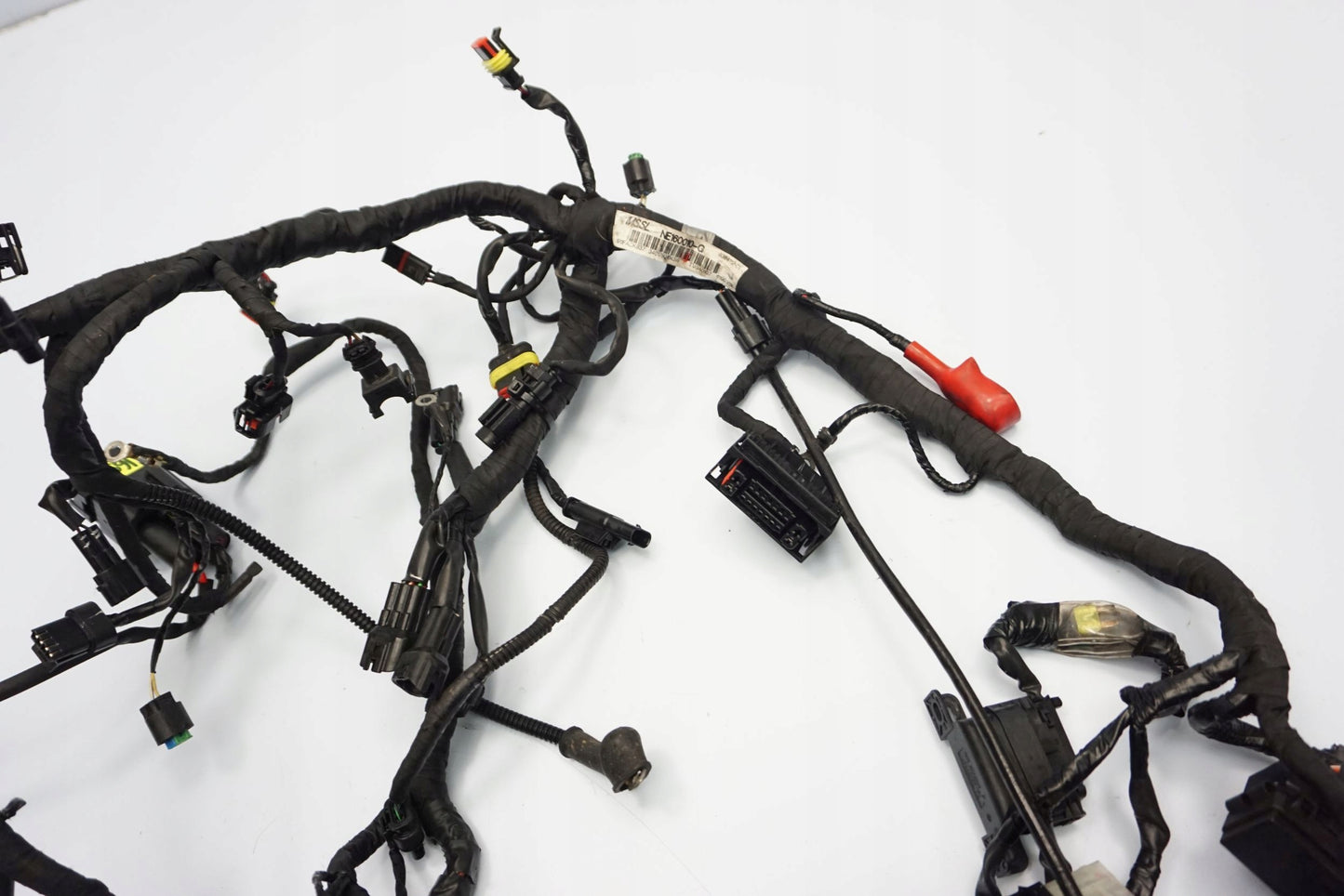 BMW G 310 GS 17- Kabelbaum Wiring Harness 11