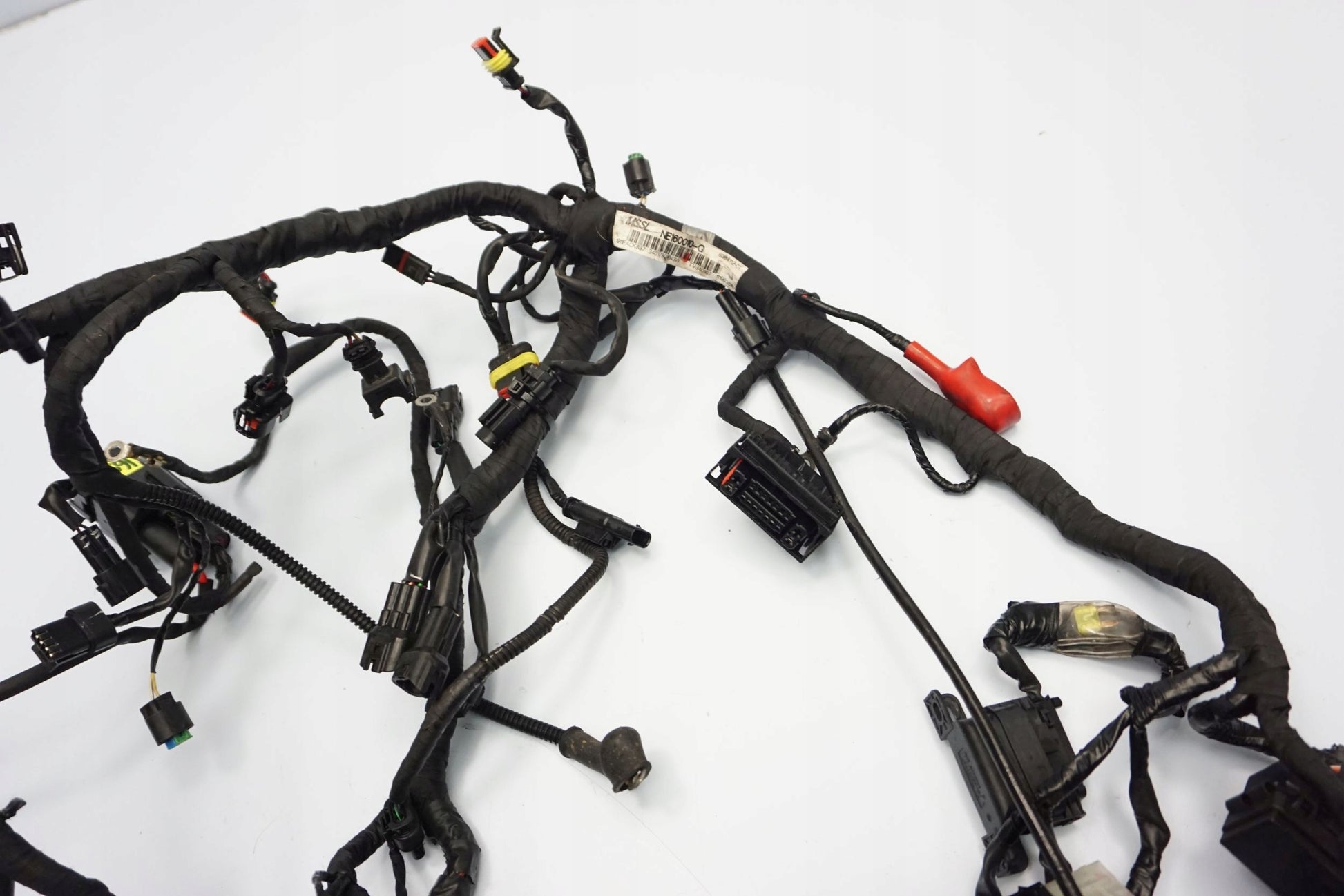 BMW G 310 GS 17- Kabelbaum Wiring Harness 11