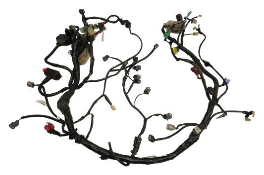 HONDA CBF 1000 SC58 06-09 Kabelbaum Wiring Harness 1