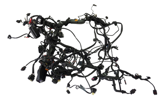 BMW R 1250 GS ADVENTURE HP 19- Kabelbaum Wiring Harness 1