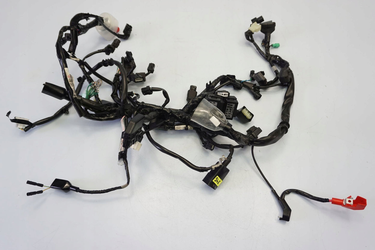 HONDA CB 125 R JC91 21- Kabelbaum Wiring Harness 4
