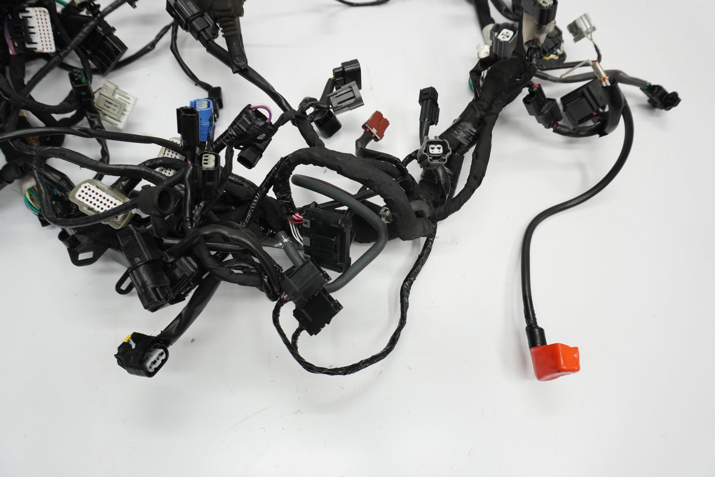 HONDA CRF 1100 L AFRICA TWIN 19- Kabelbaum Wiring Harness 3