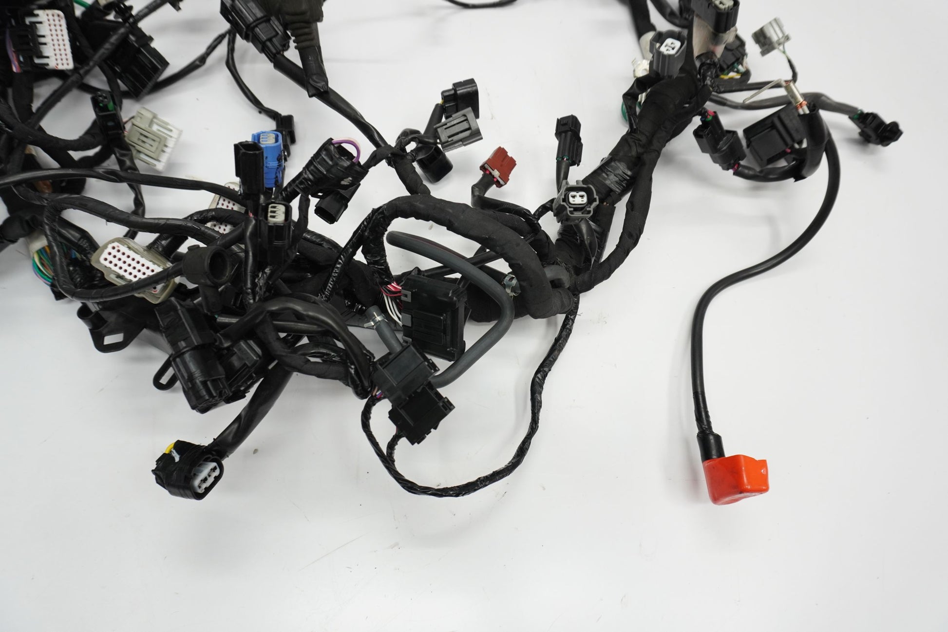 HONDA CRF 1100 L AFRICA TWIN 19- Kabelbaum Wiring Harness 3