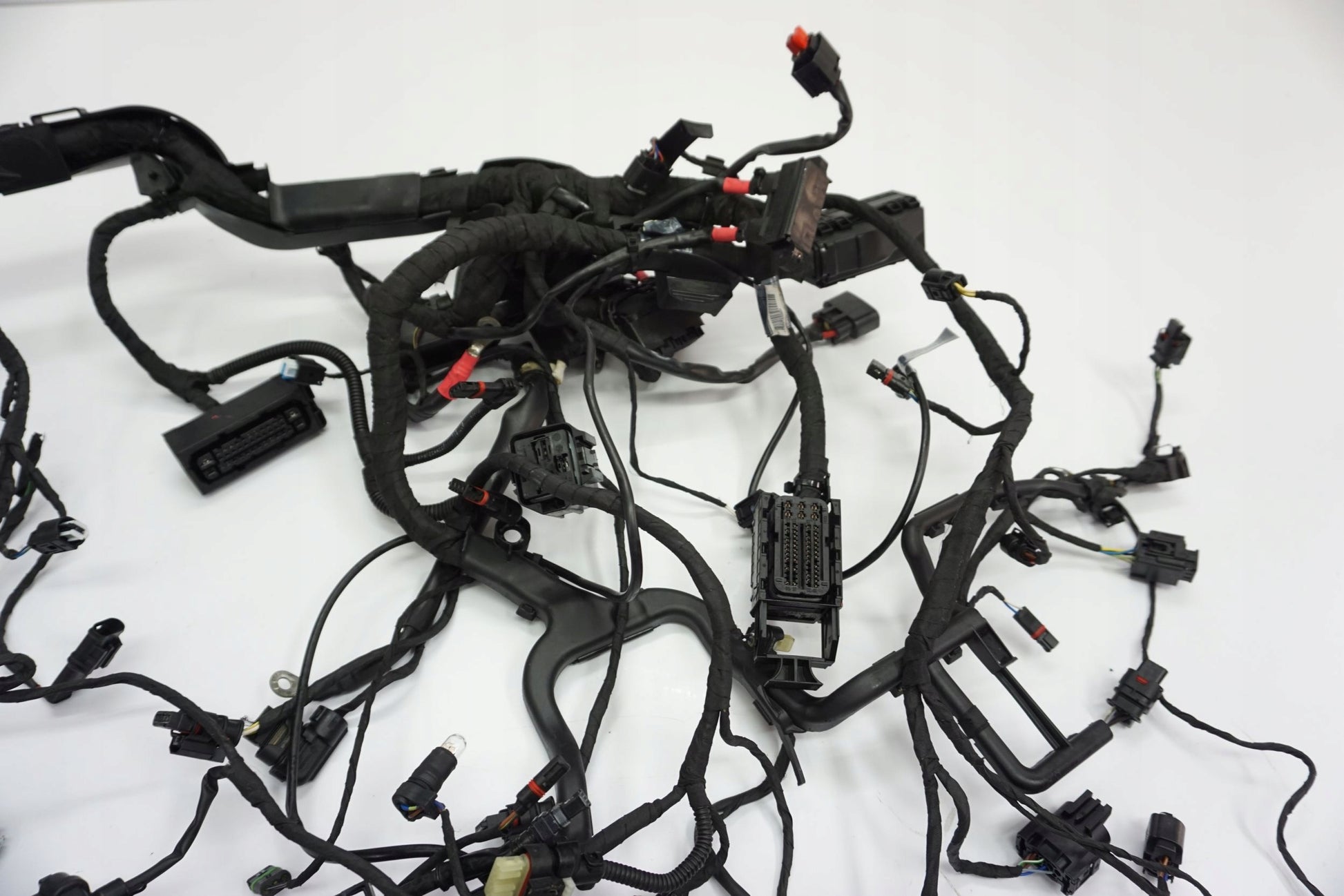 BMW R 1250 R 18- Kabelbaum Wiring Harness 12