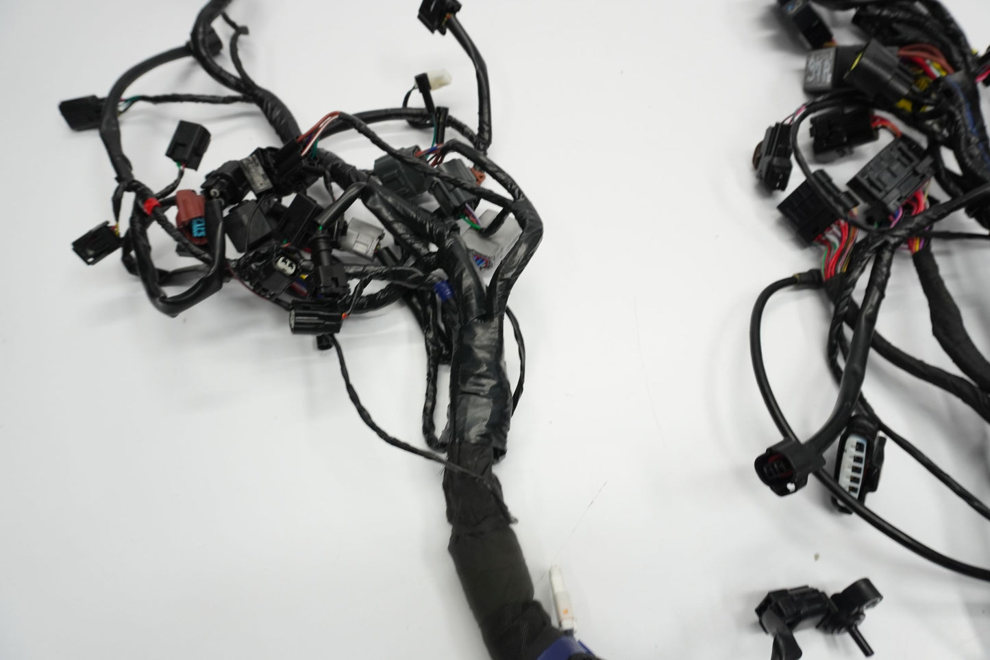 TRIUMPH TRIDENT 660 21- Kabelbaum Wiring Harness 11