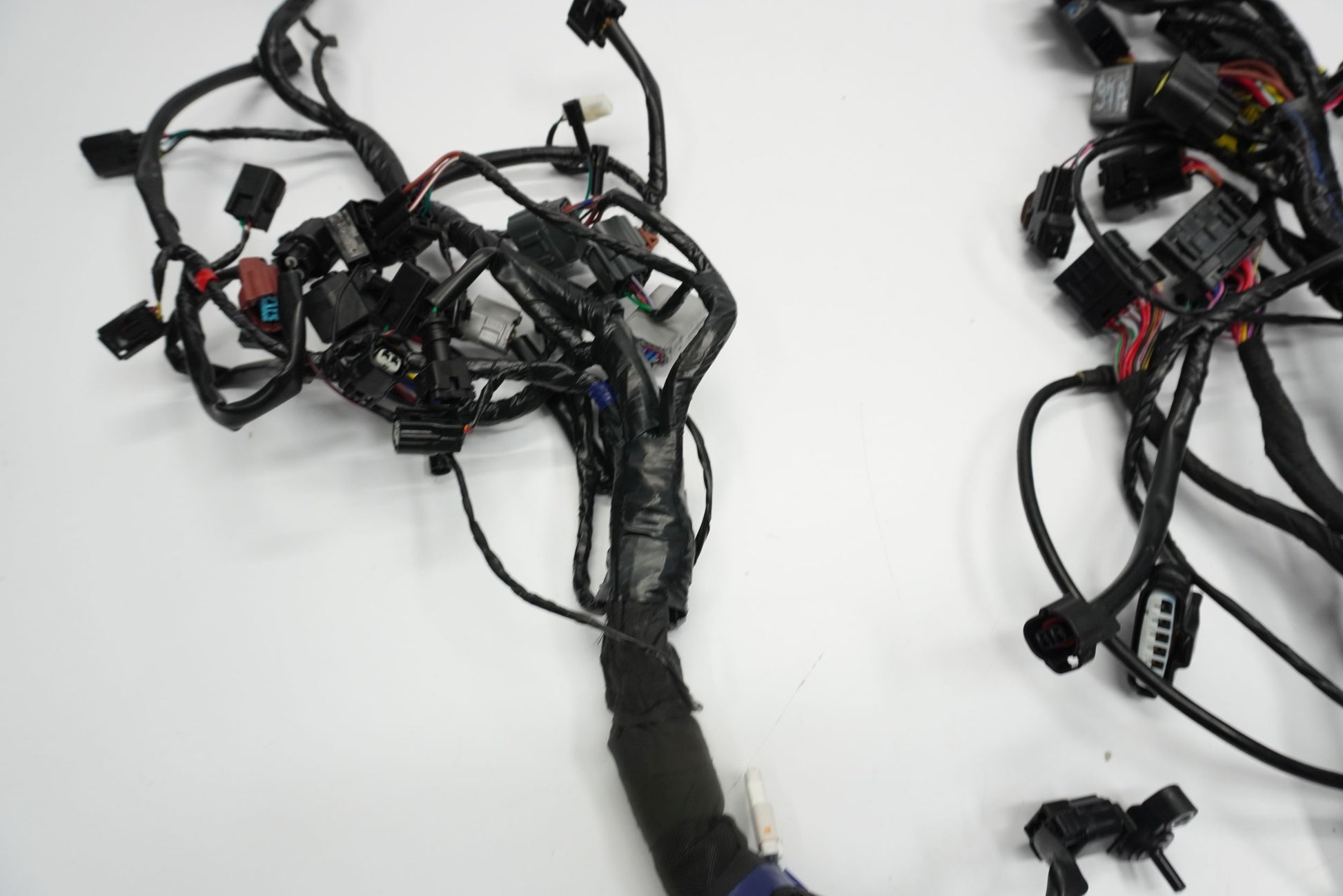 TRIUMPH TRIDENT 660 21- Kabelbaum Wiring Harness 11