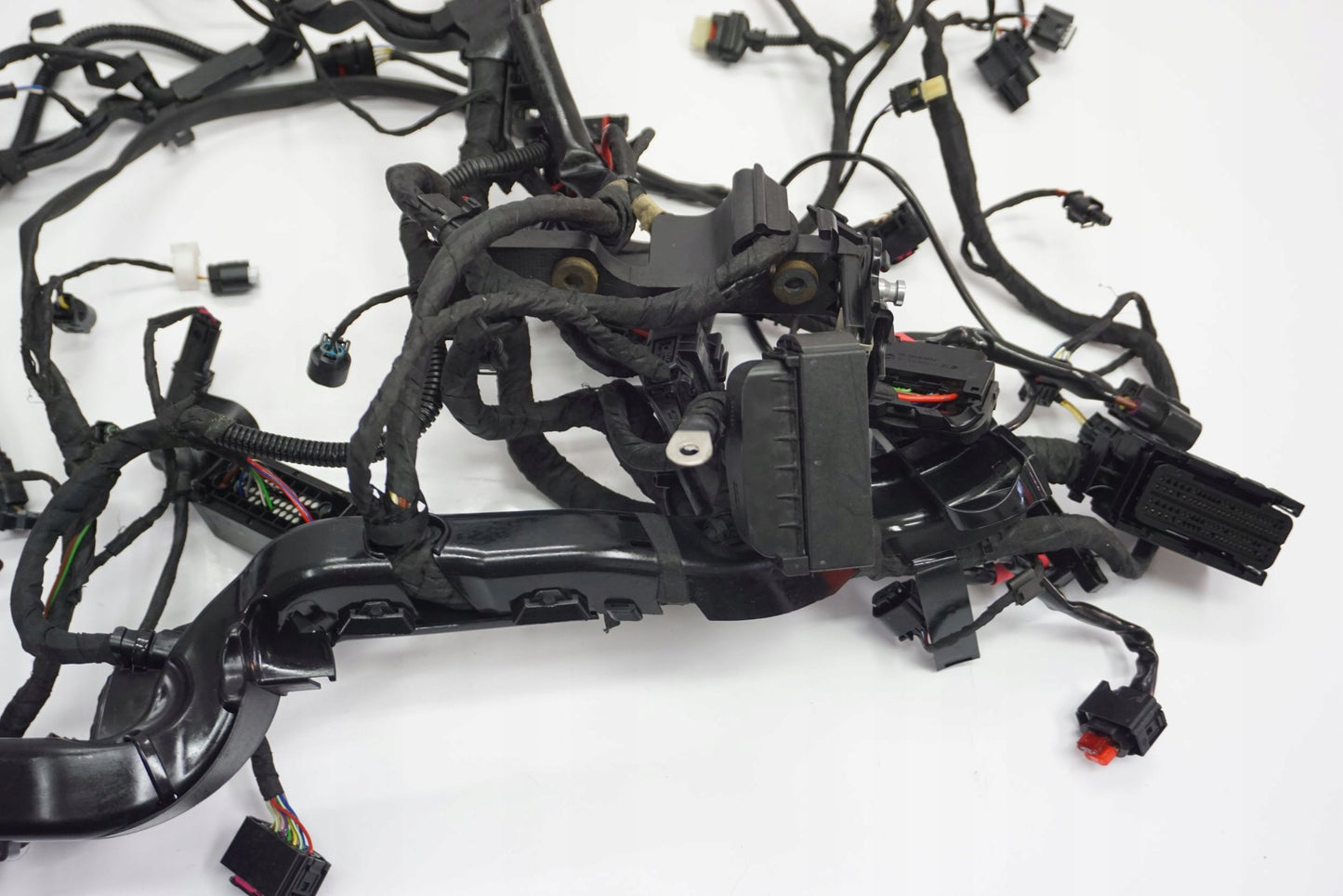 BMW R 1250 R 18- Kabelbaum Wiring Harness 4