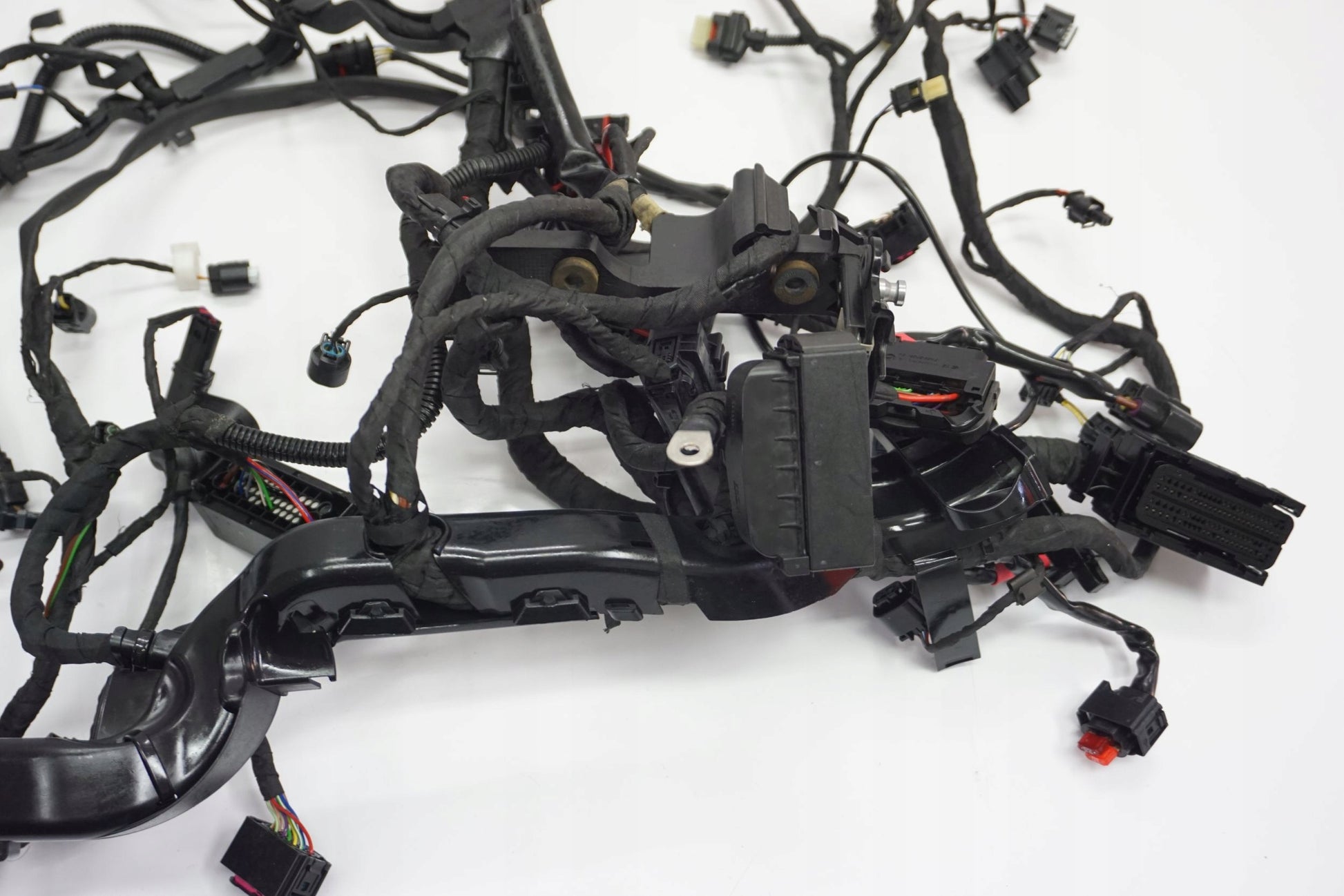 BMW R 1250 R 18- Kabelbaum Wiring Harness 4