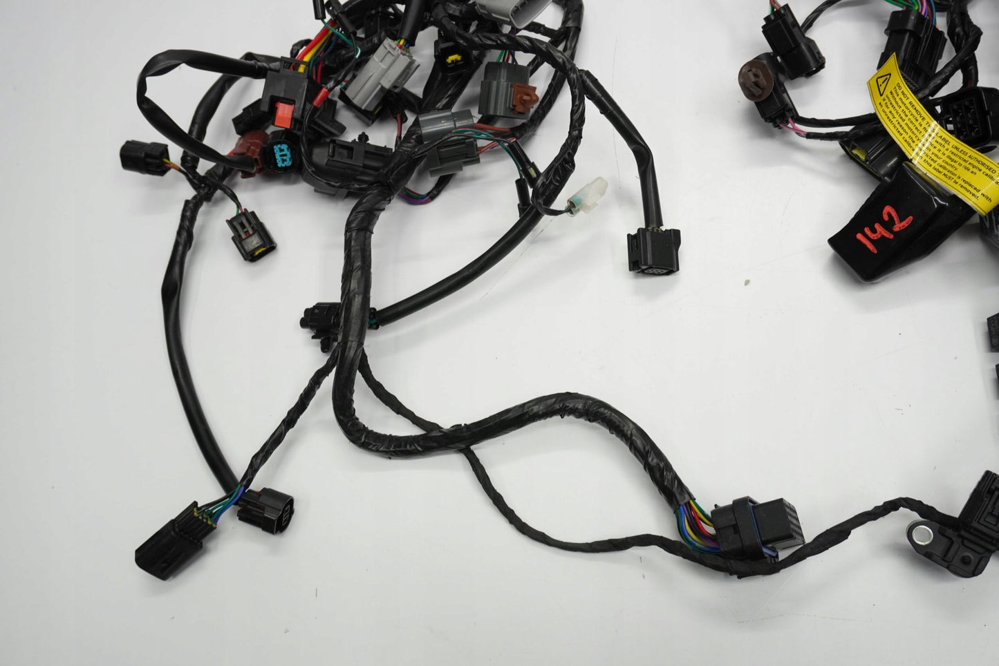 TRIUMPH TRIDENT 660 21- Kabelbaum Wiring Harness 4