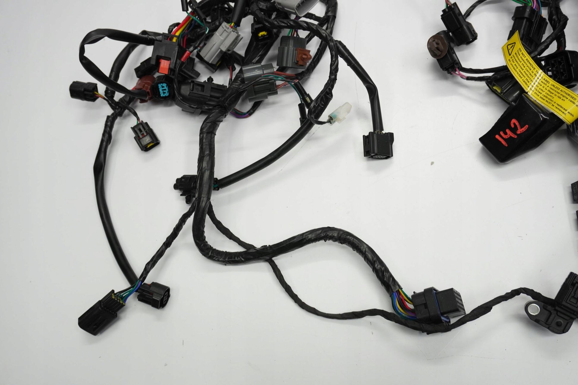 TRIUMPH TRIDENT 660 21- Kabelbaum Wiring Harness 4