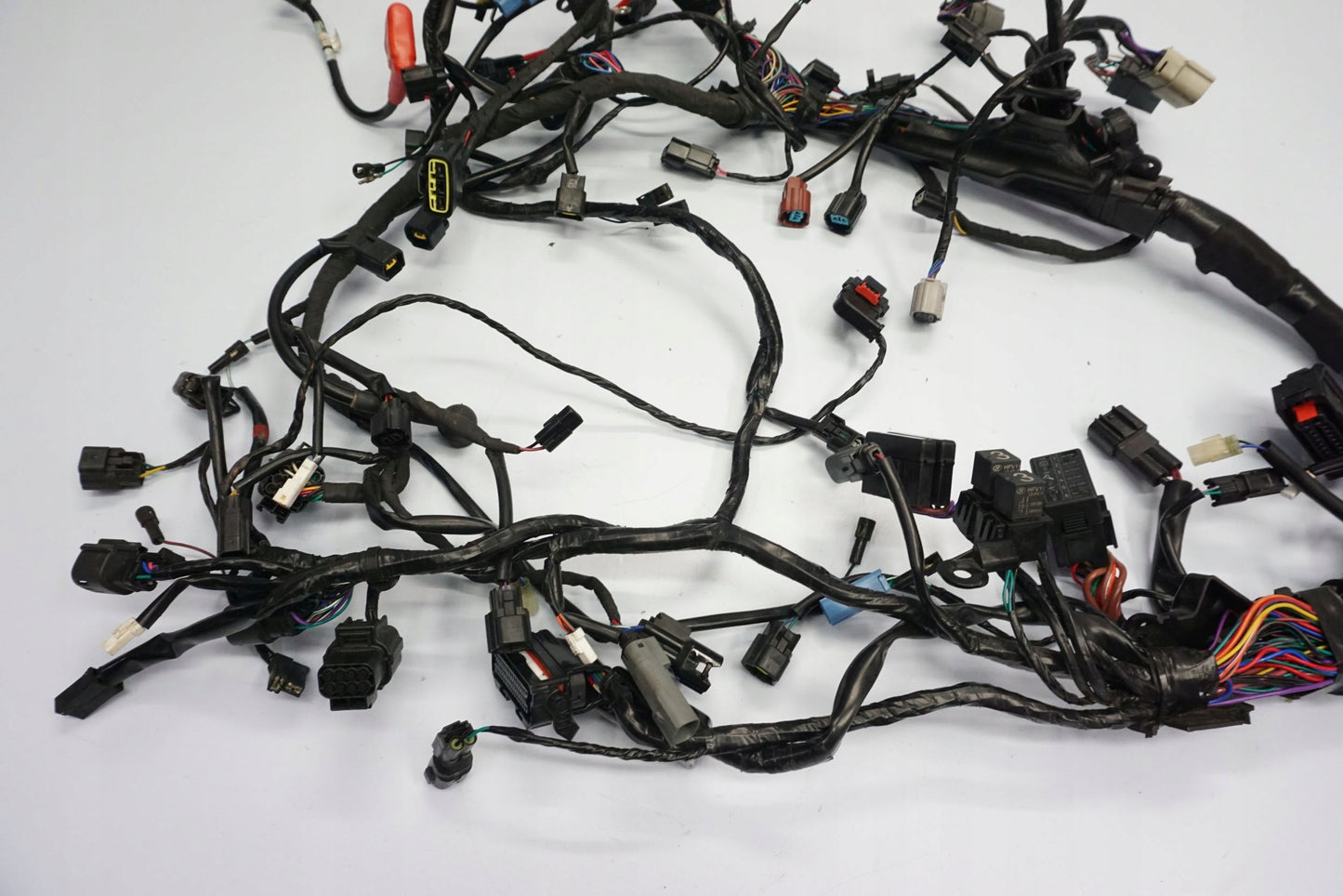 TRIUMPH TIGER 1200 RALLY EXPLORER 22- Kabelbaum Wiring Harness 7