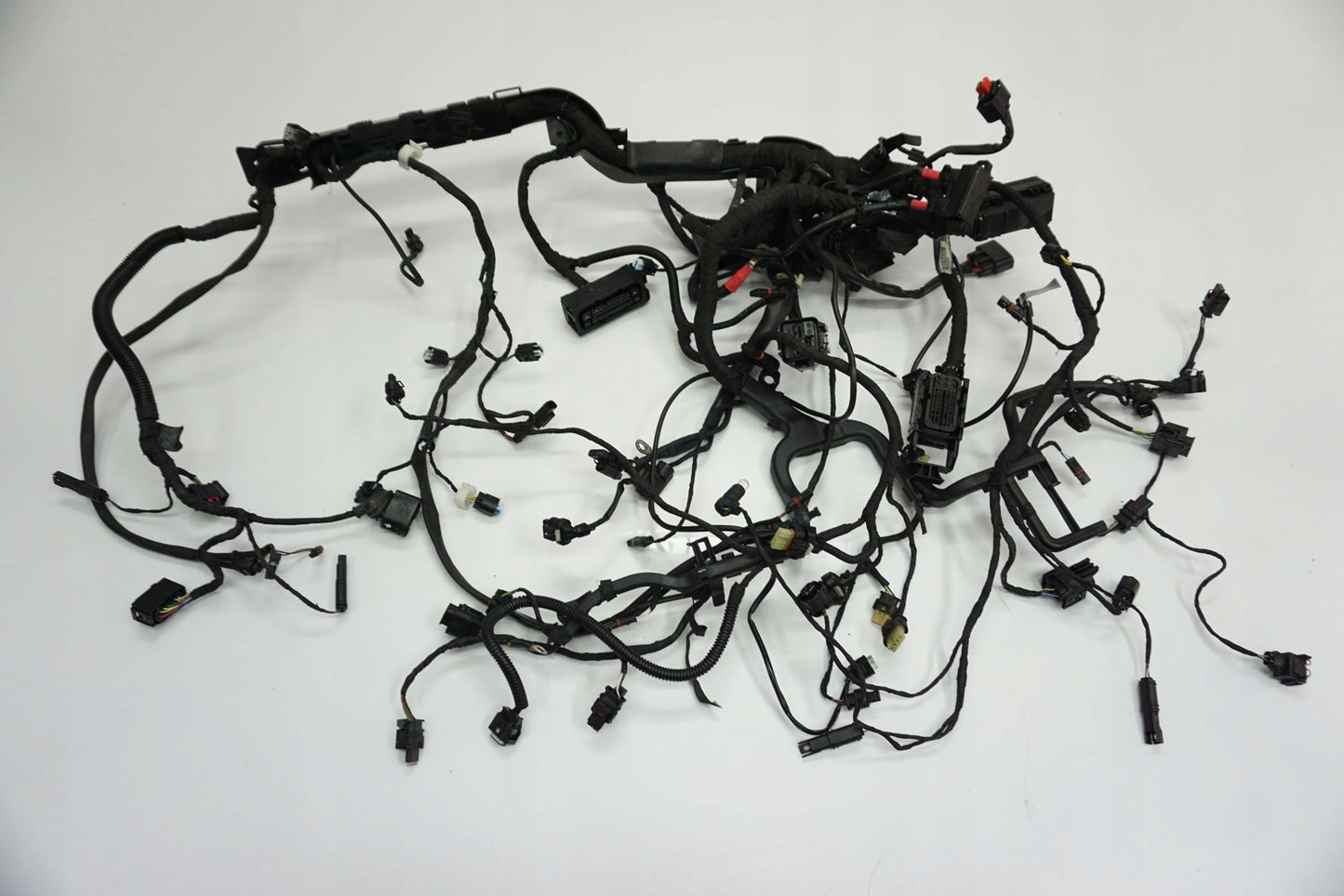 BMW R 1250 R 18- Kabelbaum Wiring Harness 13