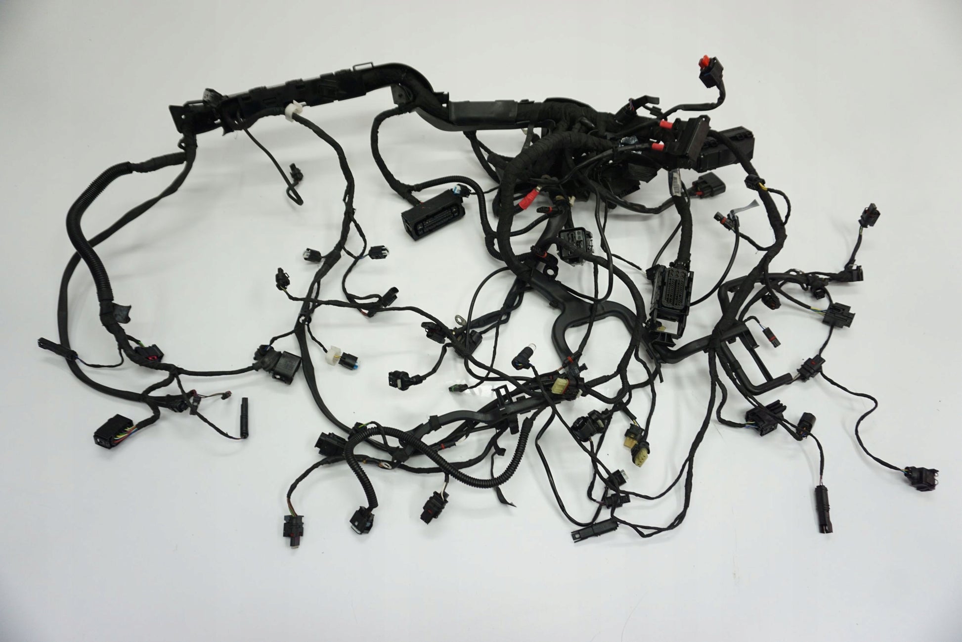 BMW R 1250 R 18- Kabelbaum Wiring Harness 13