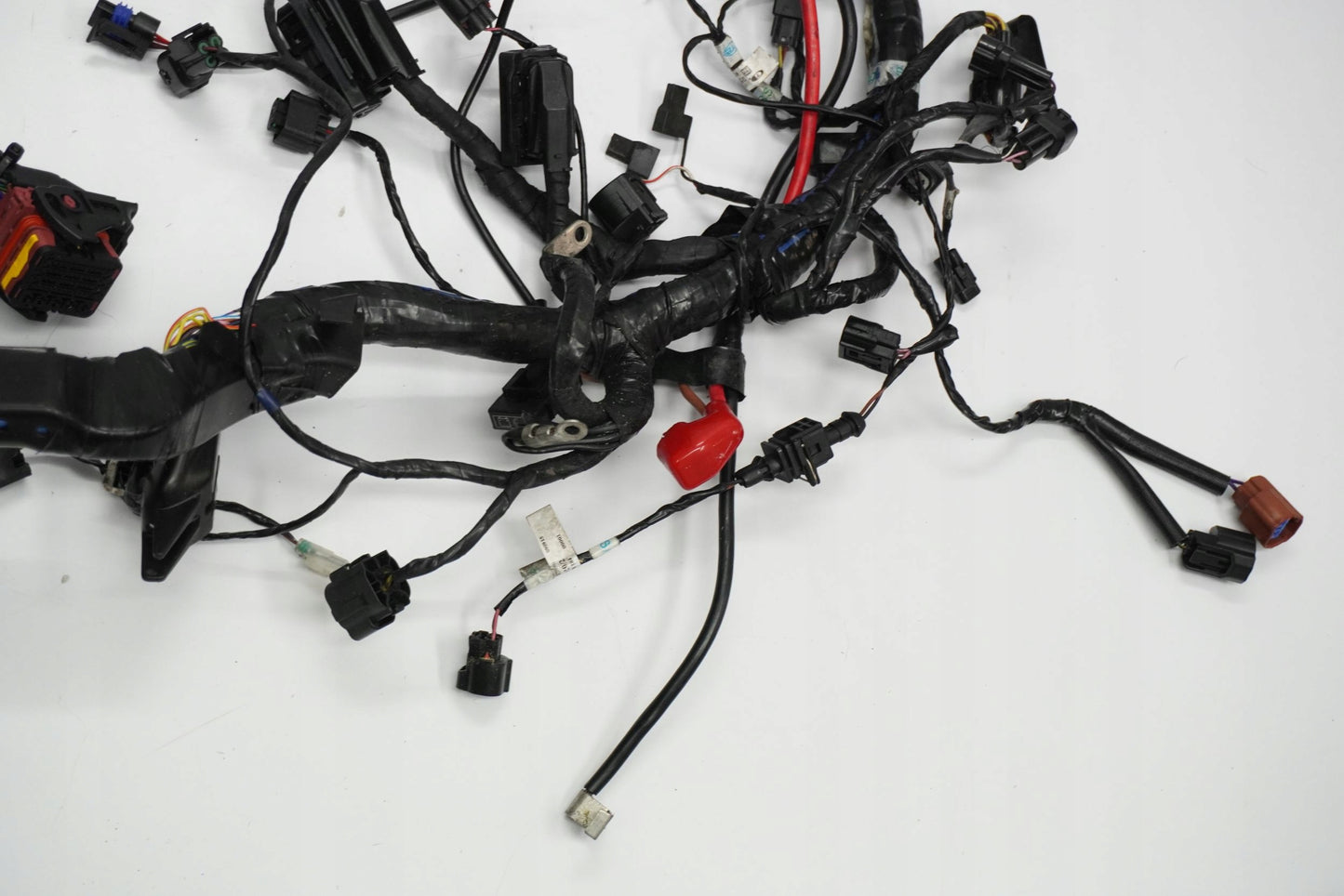 TRIUMPH TIGER 1200 XRT 16-17 Kabelbaum Wiring Harness 3