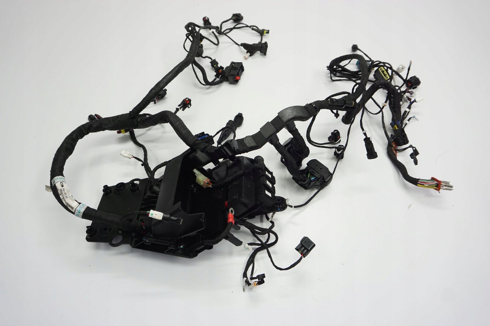 DUCATI MONSTER 937 21- Kabelbaum Wiring Harness 5