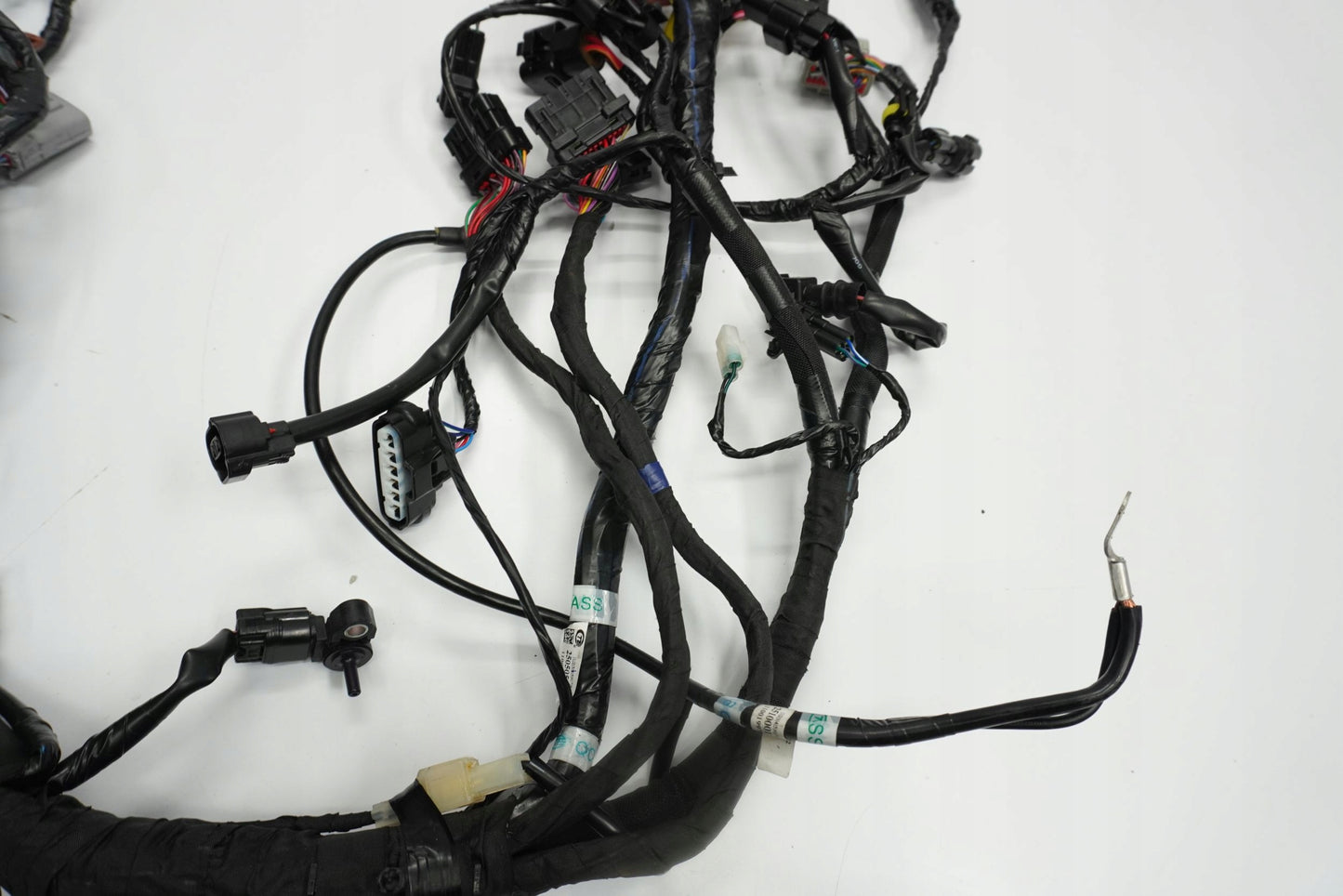 TRIUMPH TRIDENT 660 21- Kabelbaum Wiring Harness 10