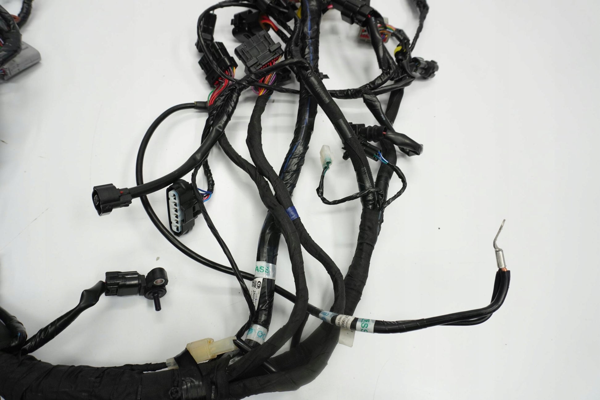 TRIUMPH TRIDENT 660 21- Kabelbaum Wiring Harness 10