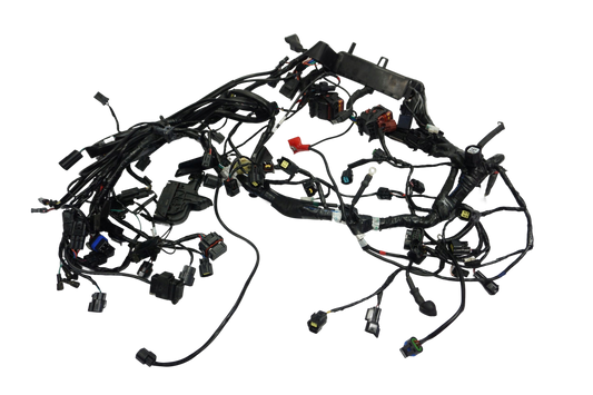 TRIUMPH TIGER 1200 XRT 18- Kabelbaum Wiring Harness 1