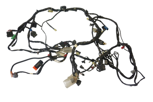 HONDA CBF 1000 10-17 Kabelbaum Wiring Harness 1