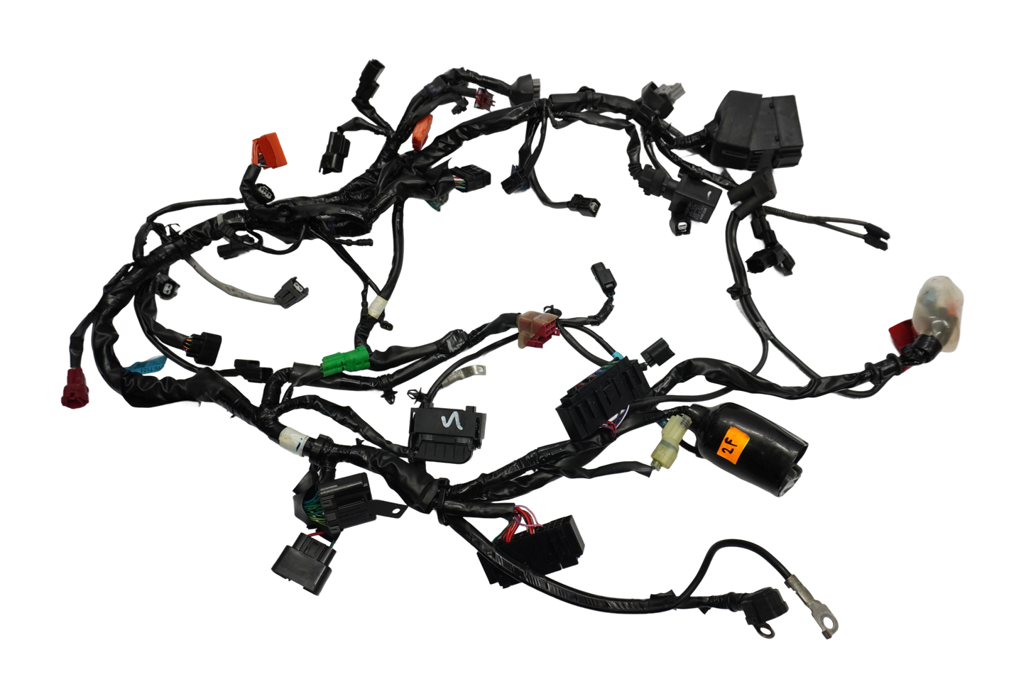 TRIUMPH STREET TRIPLE 765 17-19 Kabelbaum Wiring Harness 1