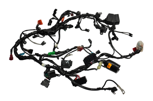 TRIUMPH STREET TRIPLE 765 17-19 Kabelbaum Wiring Harness 1