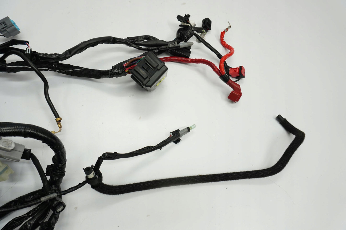 YAMAHA MT-09 SP 21-23 Kabelbaum Wiring Harness 5