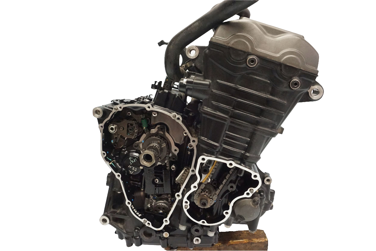 TRIUMPH TIGER 1200 RALLY EXPLORER 22- Motor Motorblock Engine 1