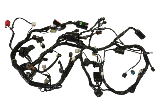 KAWASAKI VERSYS 650 15-21 Kabelbaum Wiring Harness 1