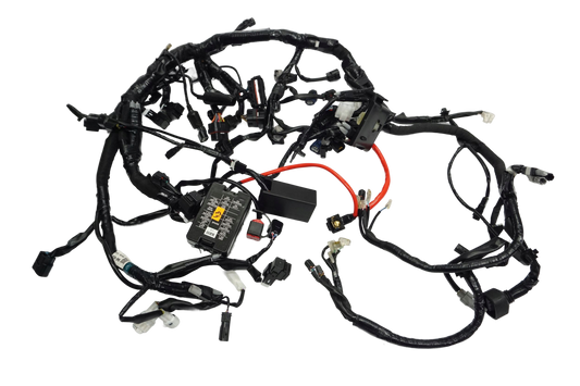 YAMAHA MT-09 24- Kabelbaum Wiring Harness 1