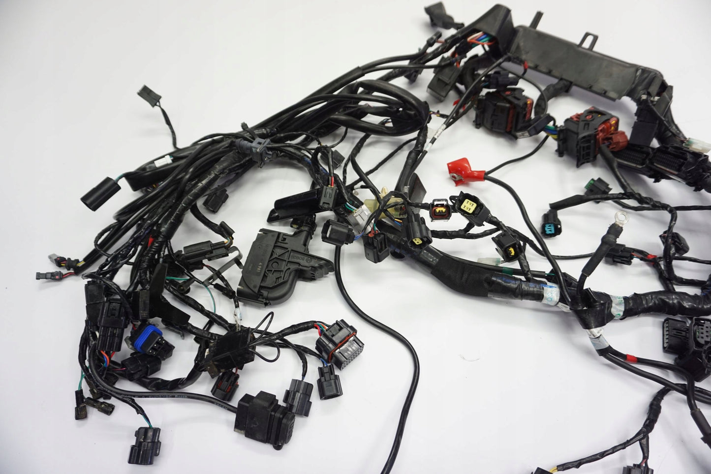 TRIUMPH TIGER 1200 XRT 18- Kabelbaum Wiring Harness 10