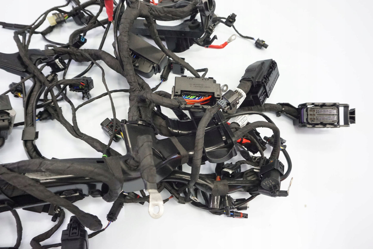 BMW R 1250 R 18- Kabelbaum Wiring Harness 13