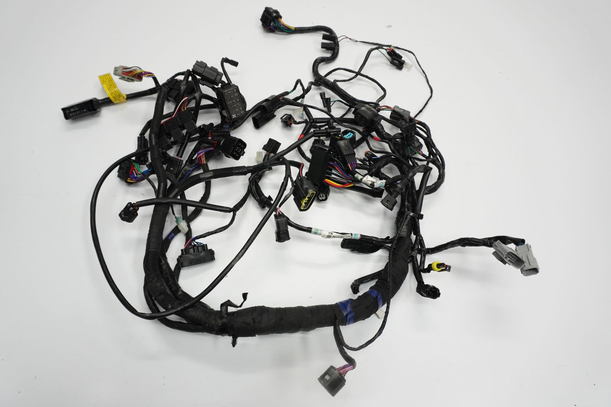 TRIUMPH TRIDENT 660 21- Kabelbaum Wiring Harness 5