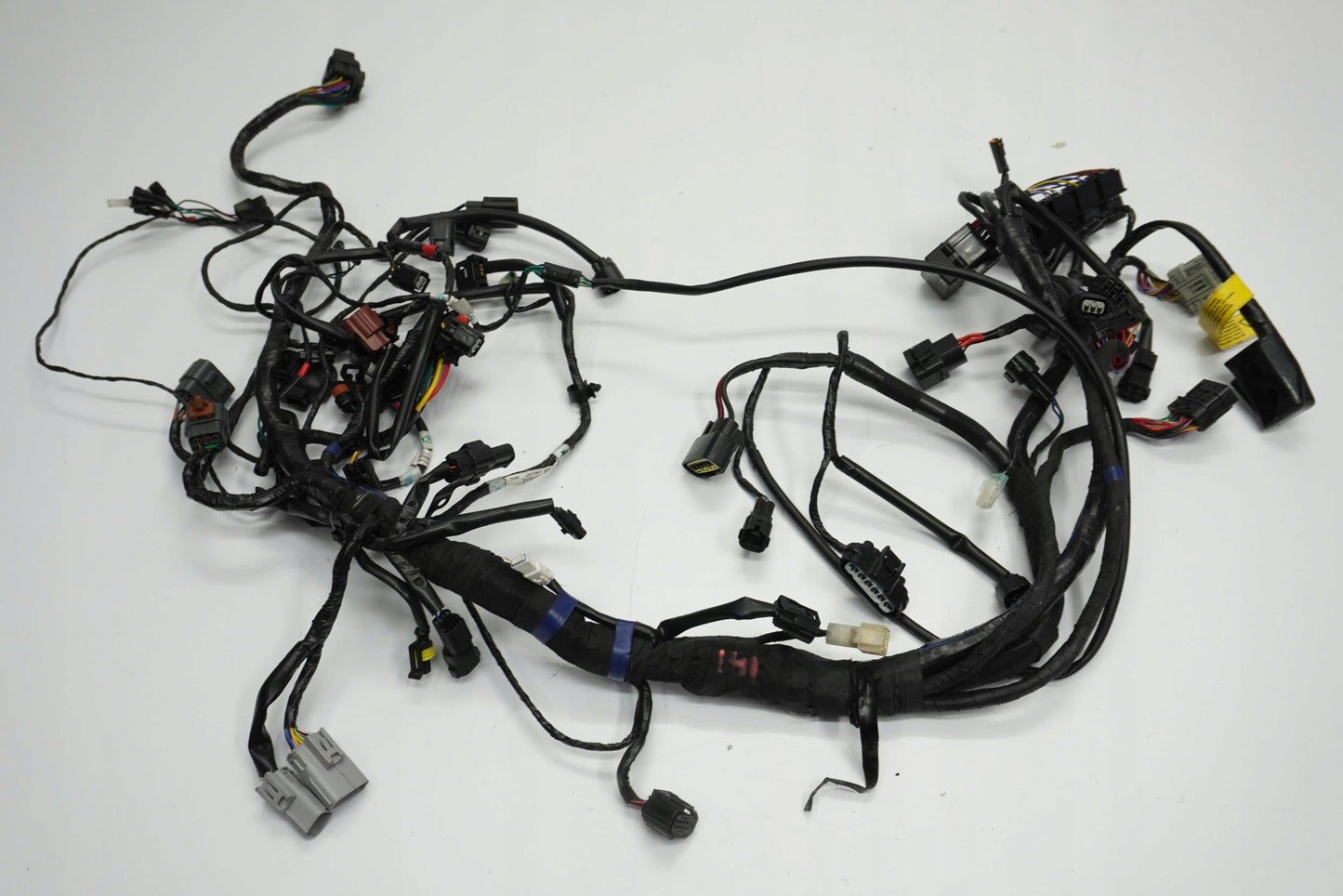 TRIUMPH TRIDENT 660 21- Kabelbaum Wiring Harness 9
