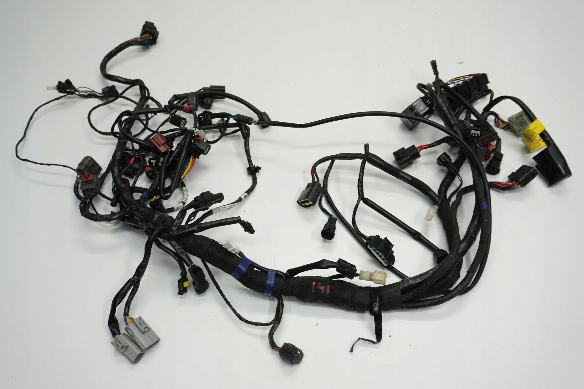 TRIUMPH TRIDENT 660 21- Kabelbaum Wiring Harness 9