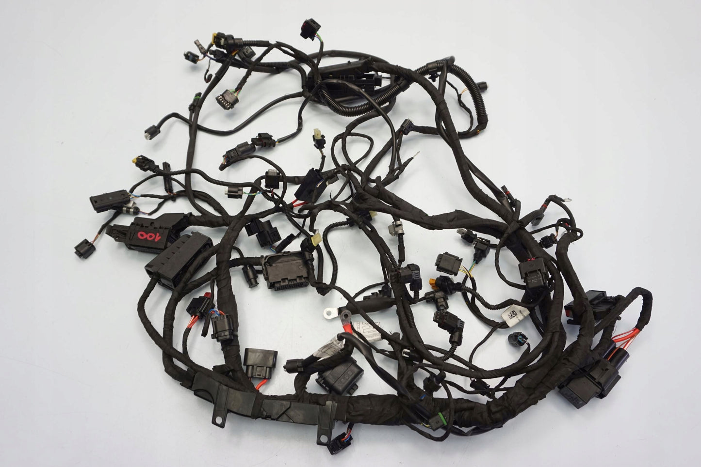 BMW F 900 R 20- Kabelbaum Wiring Harness 6