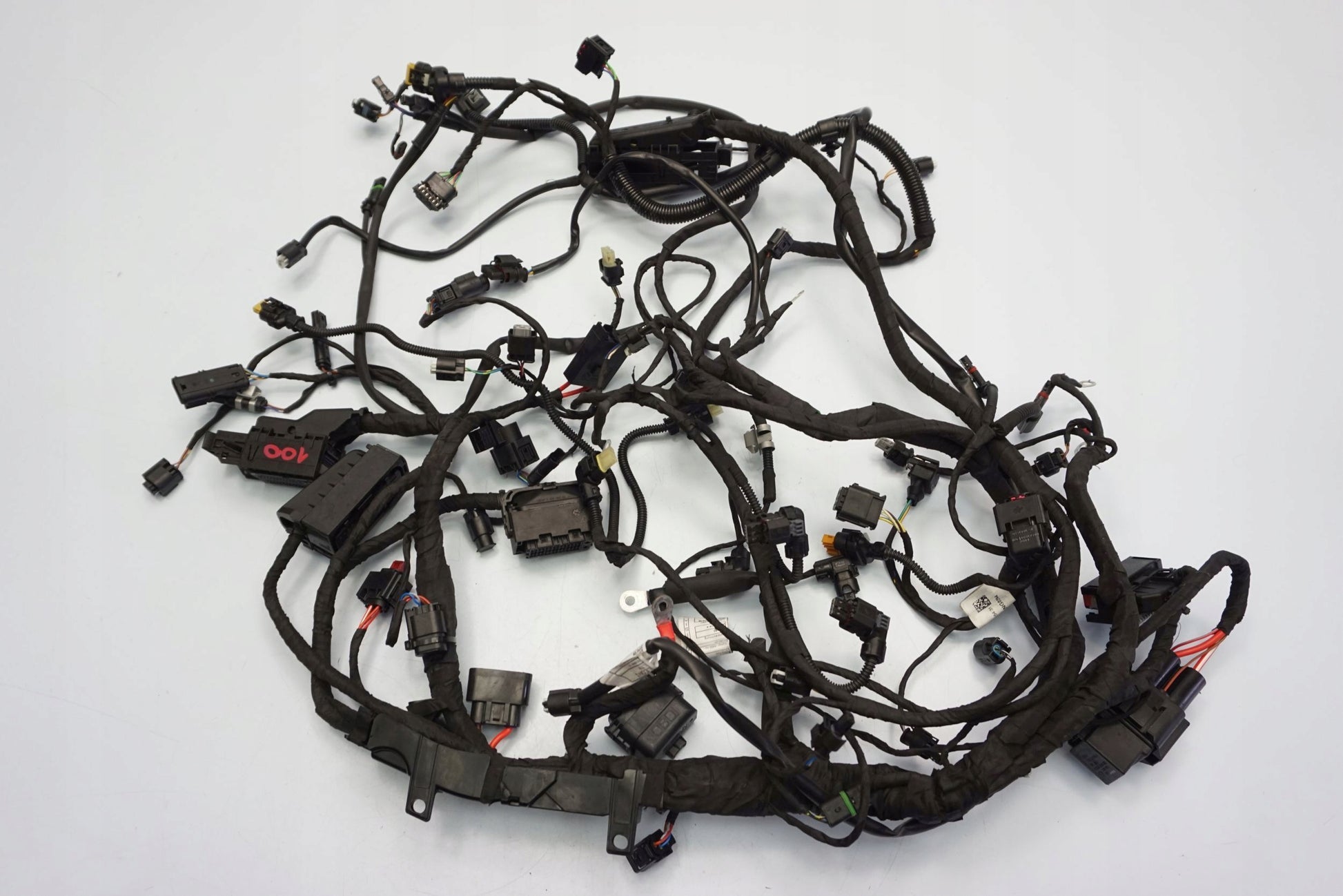 BMW F 900 R 20- Kabelbaum Wiring Harness 6