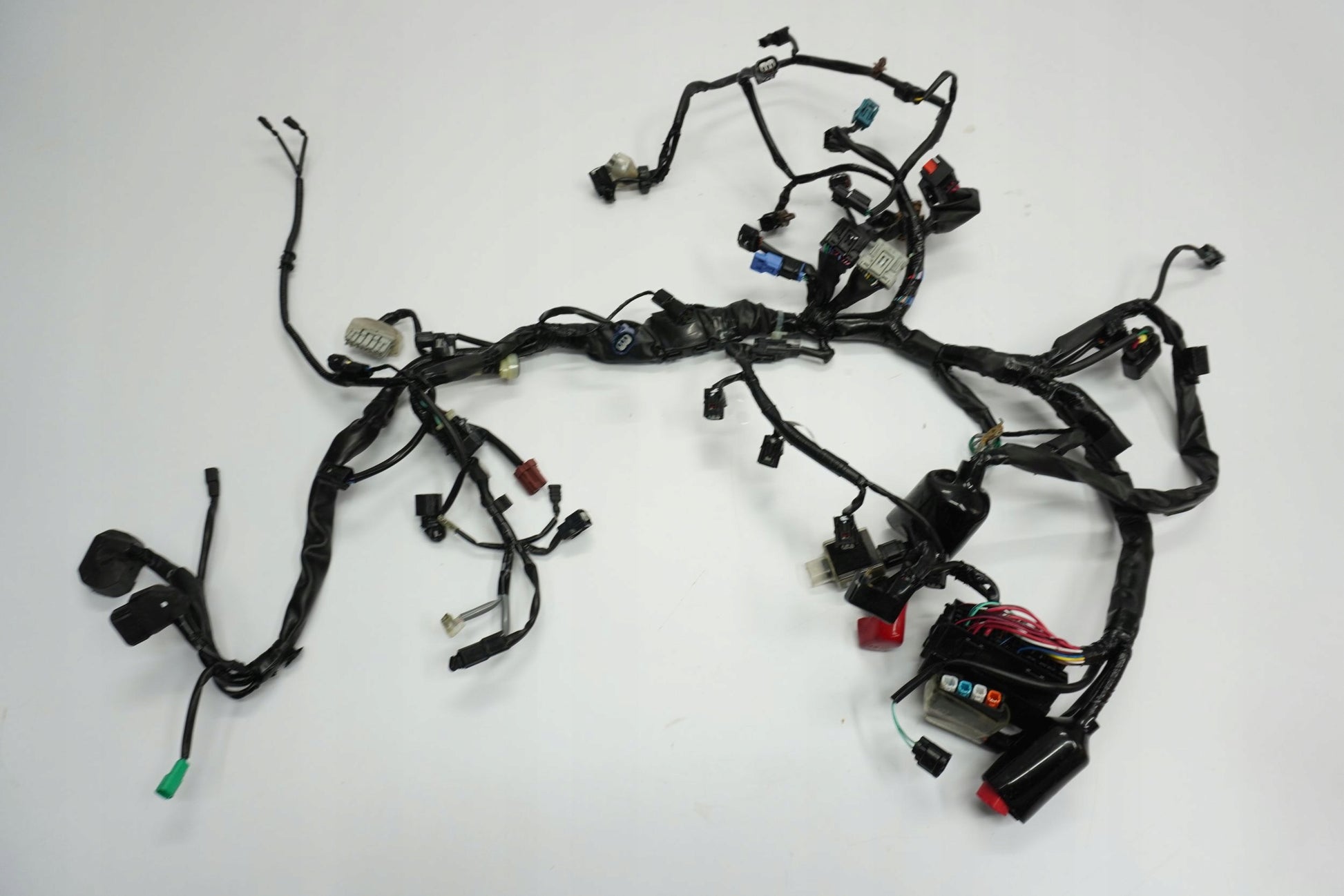 HONDA CB 650 R 19-23 Kabelbaum Wiring Harness 5