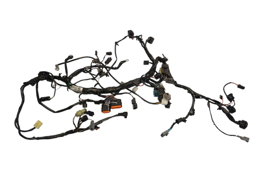 KAWASAKI 650 ER-6N 12-17 Kabelbaum Wiring Harness 1