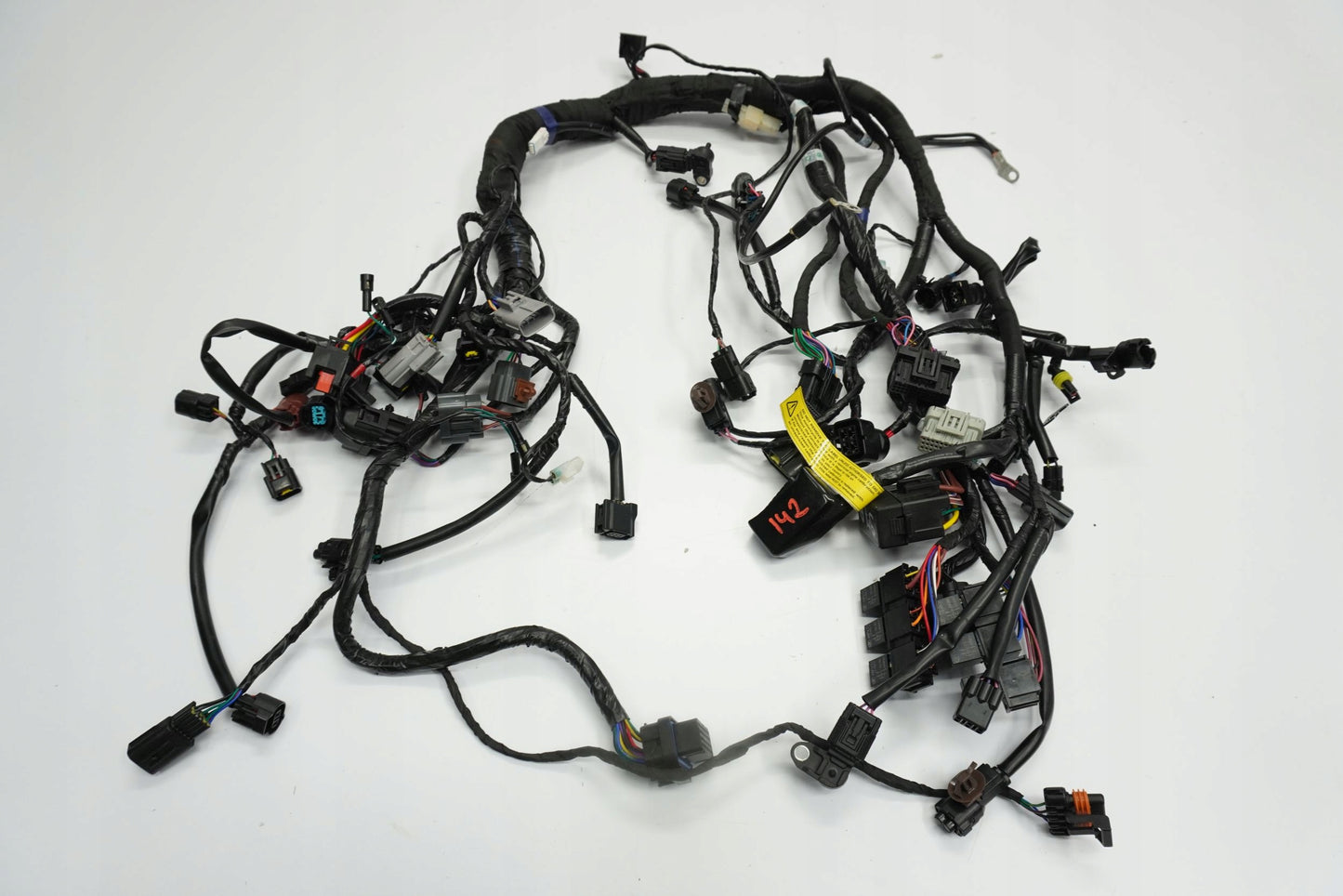 TRIUMPH TRIDENT 660 21- Kabelbaum Wiring Harness 2
