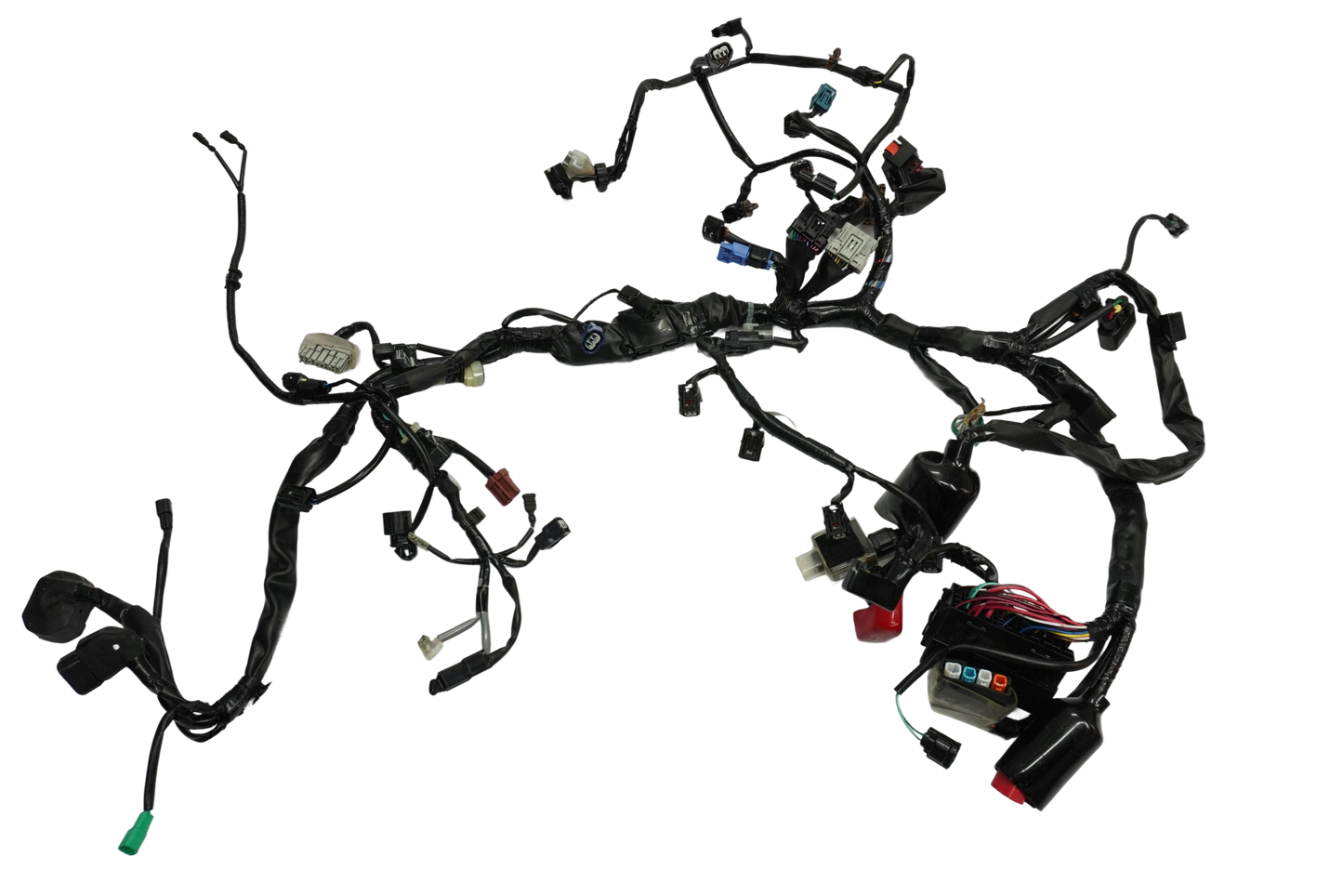 HONDA CB 650 R 19-23 Kabelbaum Wiring Harness 1