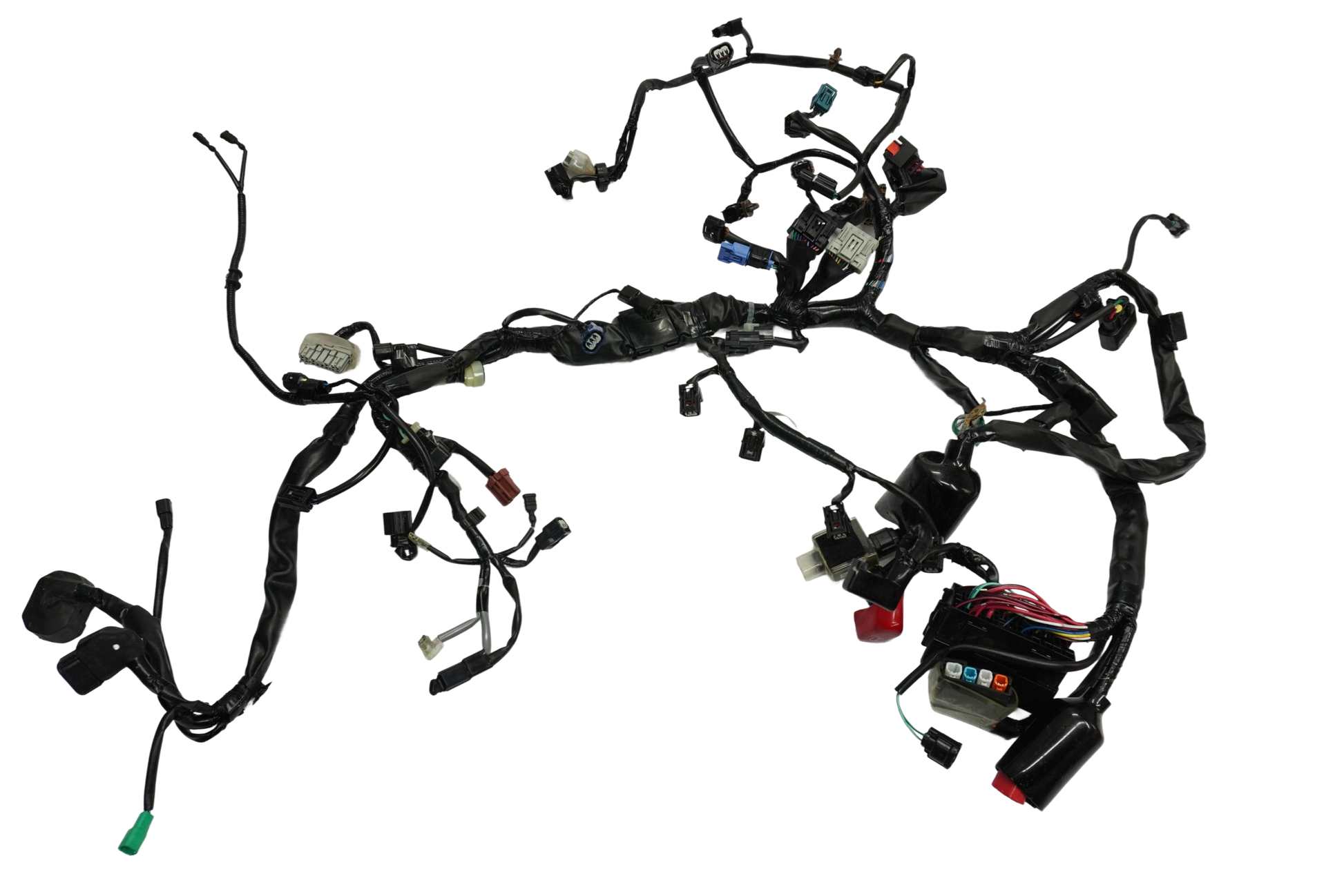 HONDA CB 650 R 19-23 Kabelbaum Wiring Harness 1