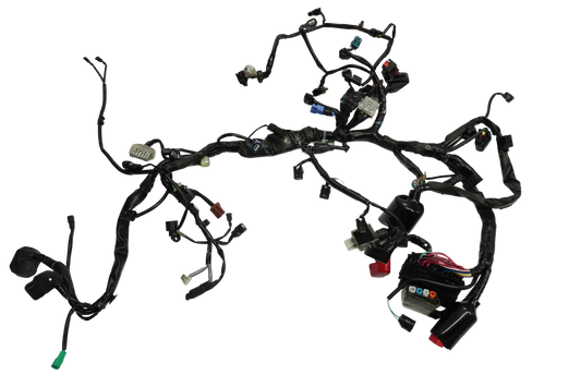 HONDA CB 650 R 19-23 Kabelbaum Wiring Harness 1